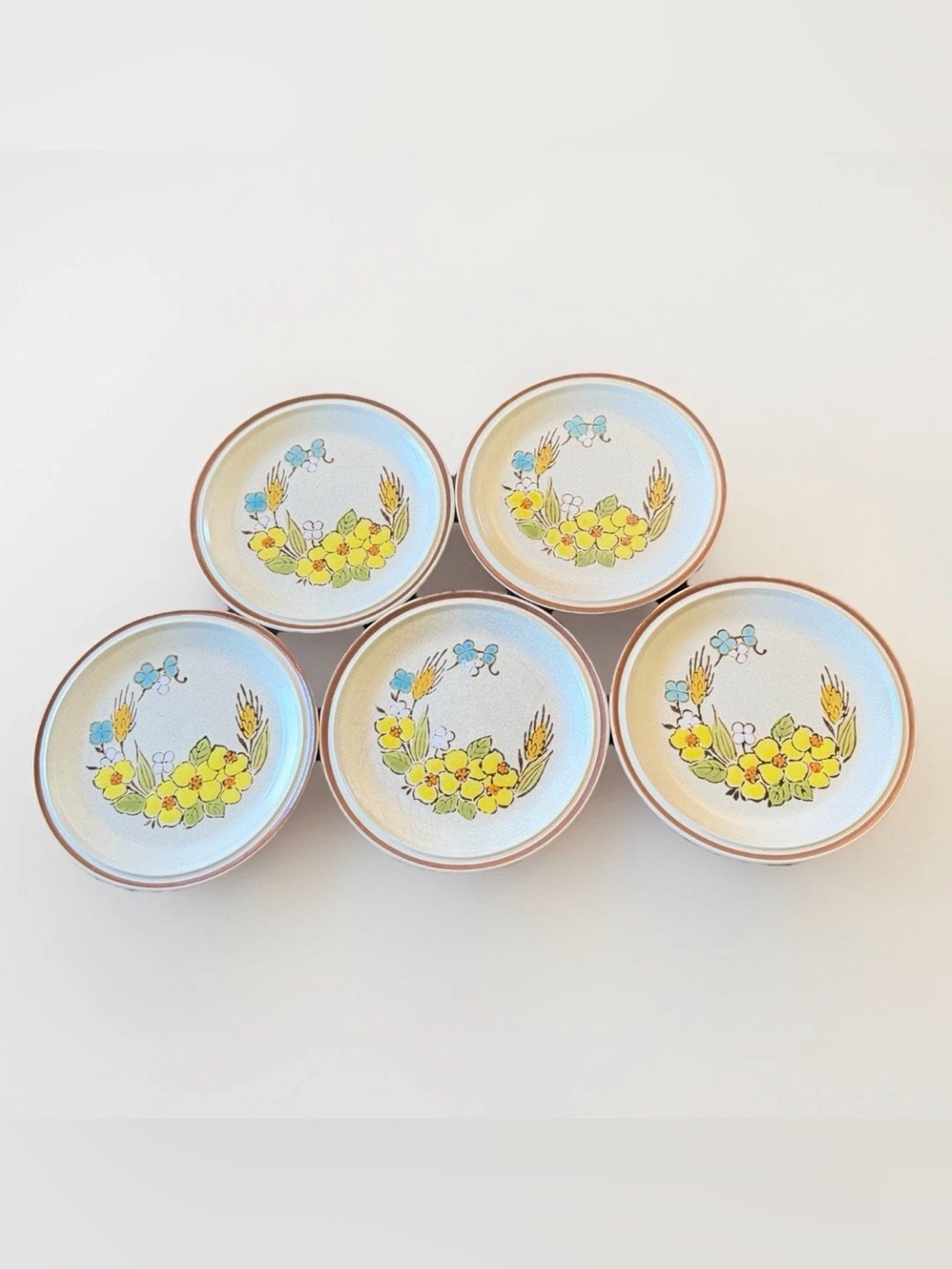 VINTAGE HEARTHSIDE SPRINGTIME FLORAL EXPRESSIONS JAPAN SALAD PLATES (Set of 5)
